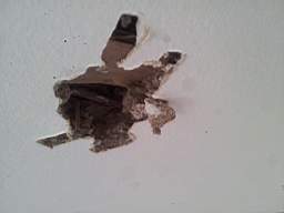 fkillineybeforeinternal 1030.jpg